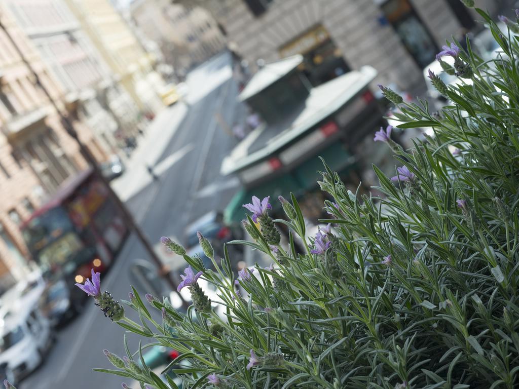 Corso Vittorio 308 Bed & Breakfast โรม ภายนอก รูปภาพ